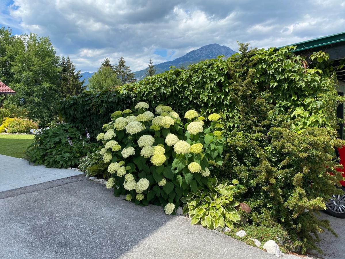 Appartementhaus Parzer Pruggern Extérieur photo